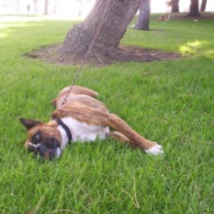 TINA TIRED..