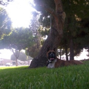 JUST KICKING BACK..