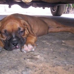 IM SLEEPING DONT BOTHER ME..