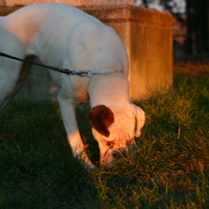 Lana at park