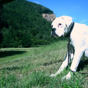 Lana at Lases lake