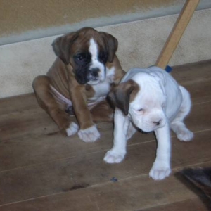 Baby lana and her brother