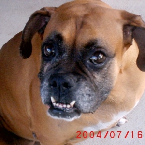 Duchess smiling