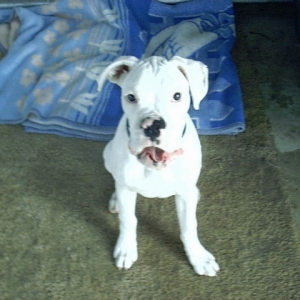 JC 6 months old