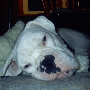 sleepytime