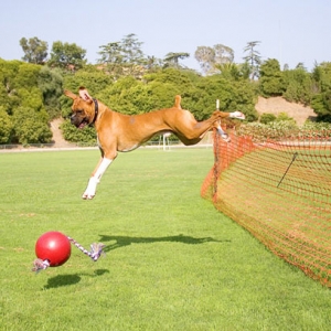 clears fence for ball