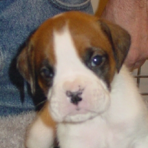 Sarge070805a