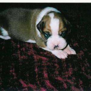 so little