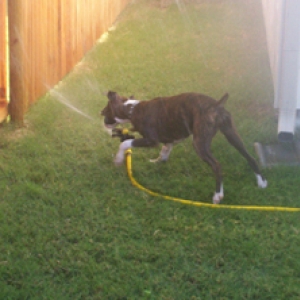 Fun in the Texas sun!