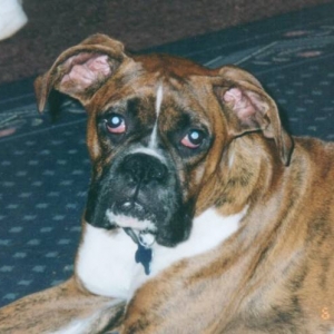 Carlee