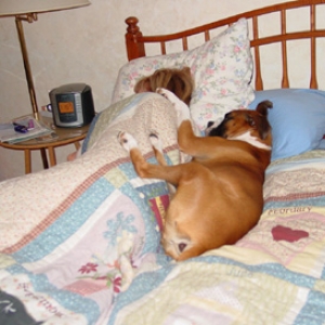 Snuggle buddy