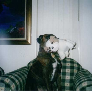 i love my doggy