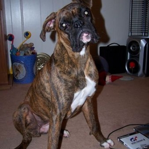 Silly Girl