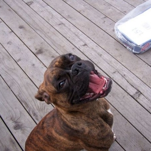 Open Wide!!