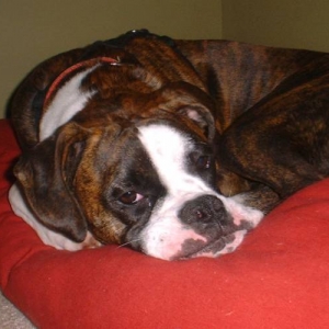 Lazy-girl