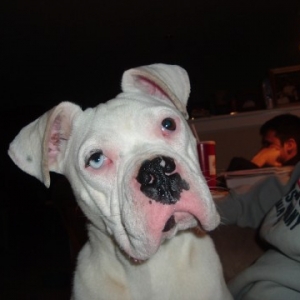 My boy Cody, 9 months