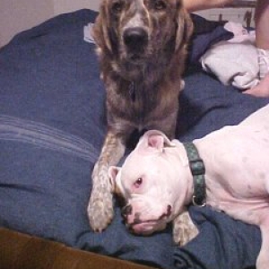 Lillie & Mack