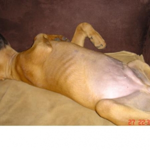 lucky_napping