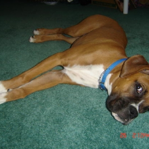 Sprawled out!