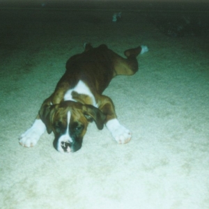 Laying around