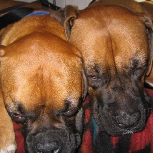 Sleeping in the Car