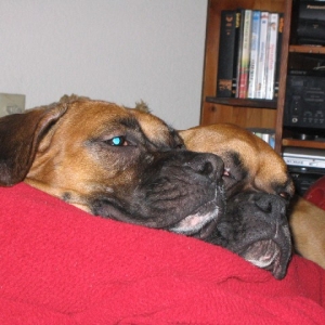 Parked on Momma's Leg