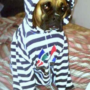 I hate clothes!