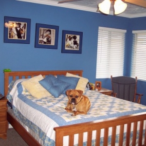 My Bed