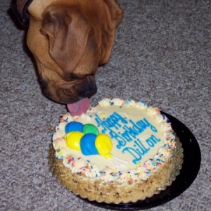 First Lick