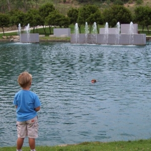 Swimming with Lucky
