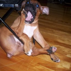 mmmm_puppy_foot