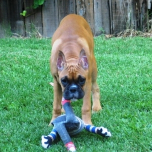 Tatie Stalking Ellie
