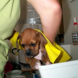 Dillons first bath