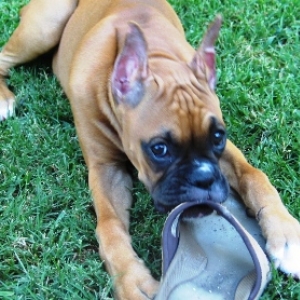 Mine!