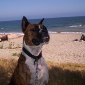 TINA IN 1 OF MALIBU'S BEACH