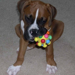 I'm tired...can we end the game now!