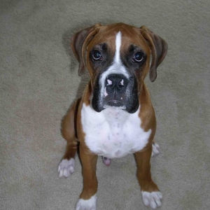 Howz this pose :o)