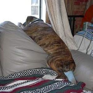 Pleeeease, can I go out?