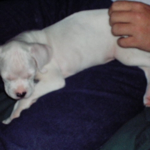 Venus' first week home