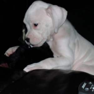 My Sweet baby