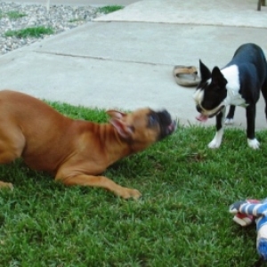 Play With ME!