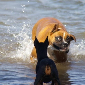 Shake it off baby!
