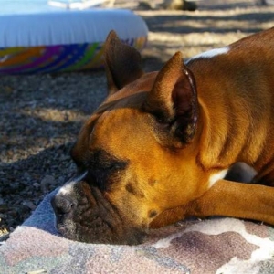 Long day of relaxing