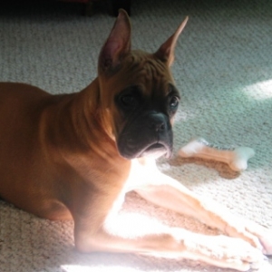 Tatie in the Sun