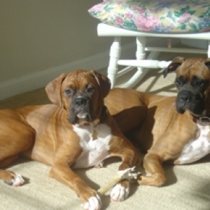 My Babies
