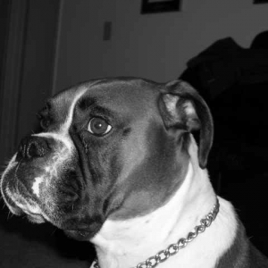 handsome in black and white.