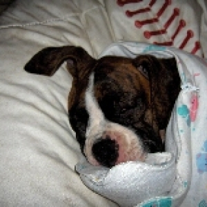 Sleeping baby