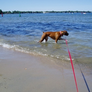 Testing the waters...