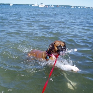 This is fun... I can swin!!