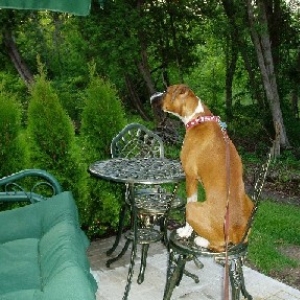 Waiter!...